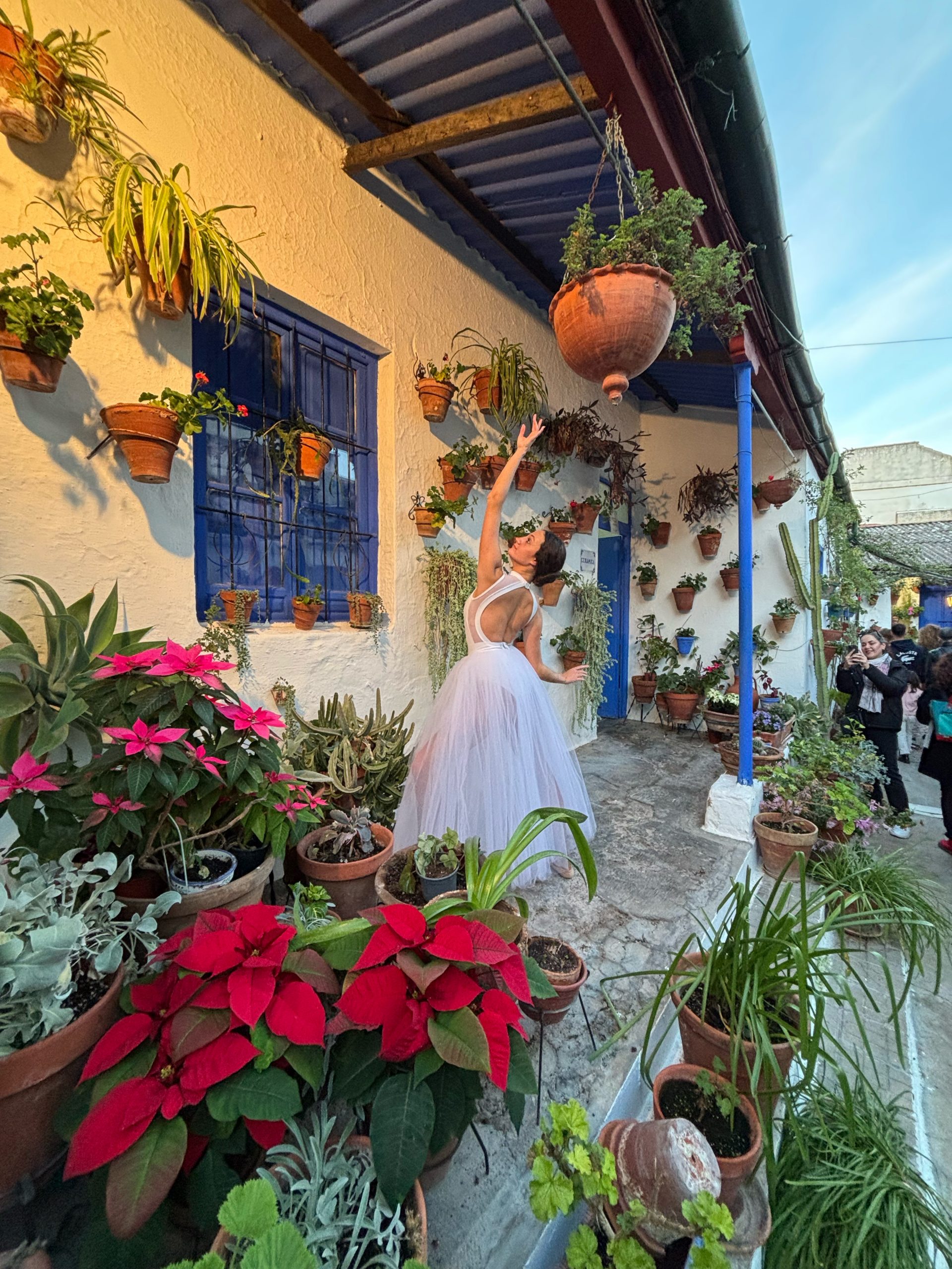 25BF88AD-C169-4718-A76B-BDEBA7895232