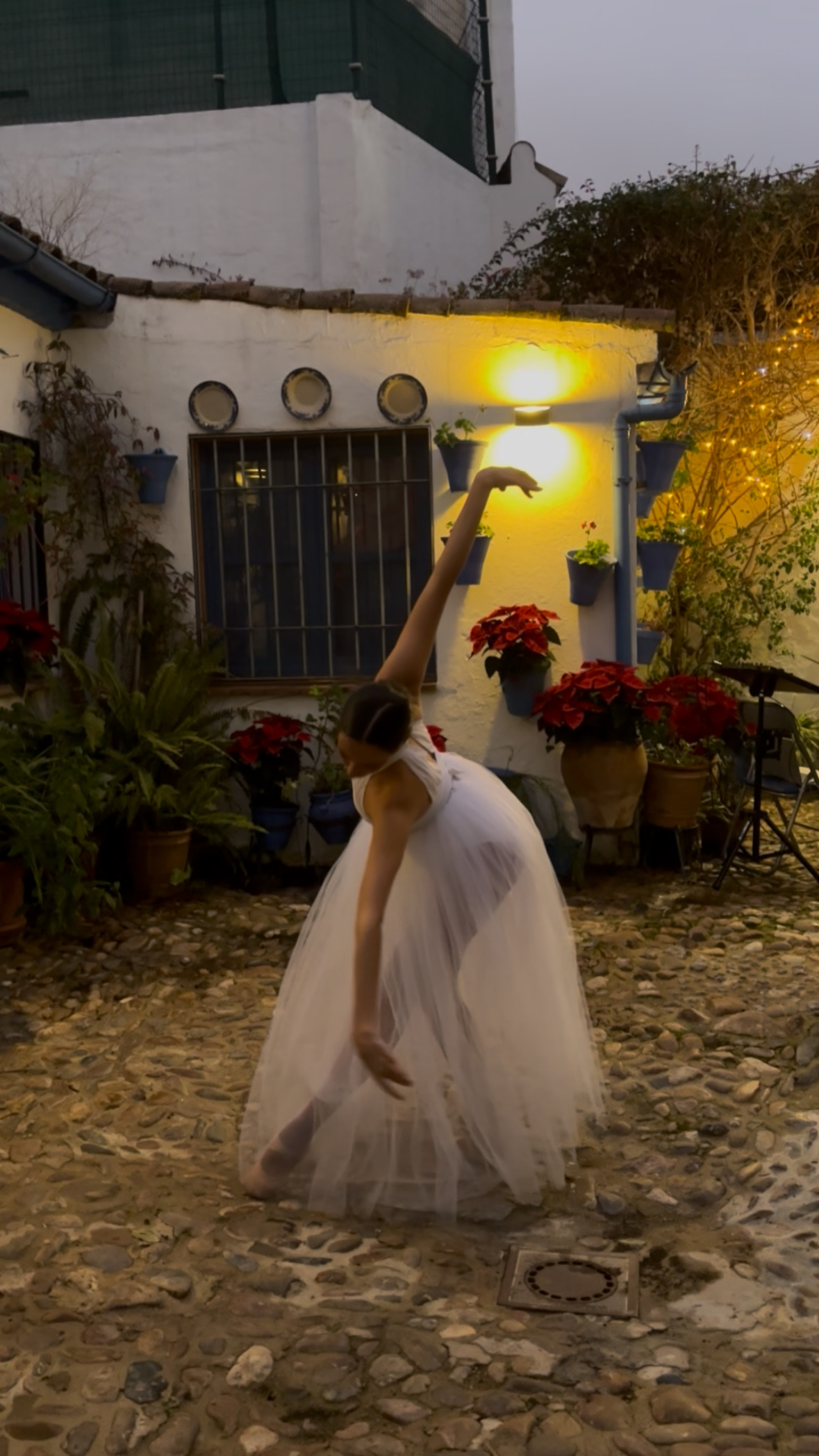 AE6CB89E-3B9A-409F-83B8-83A794CE6015